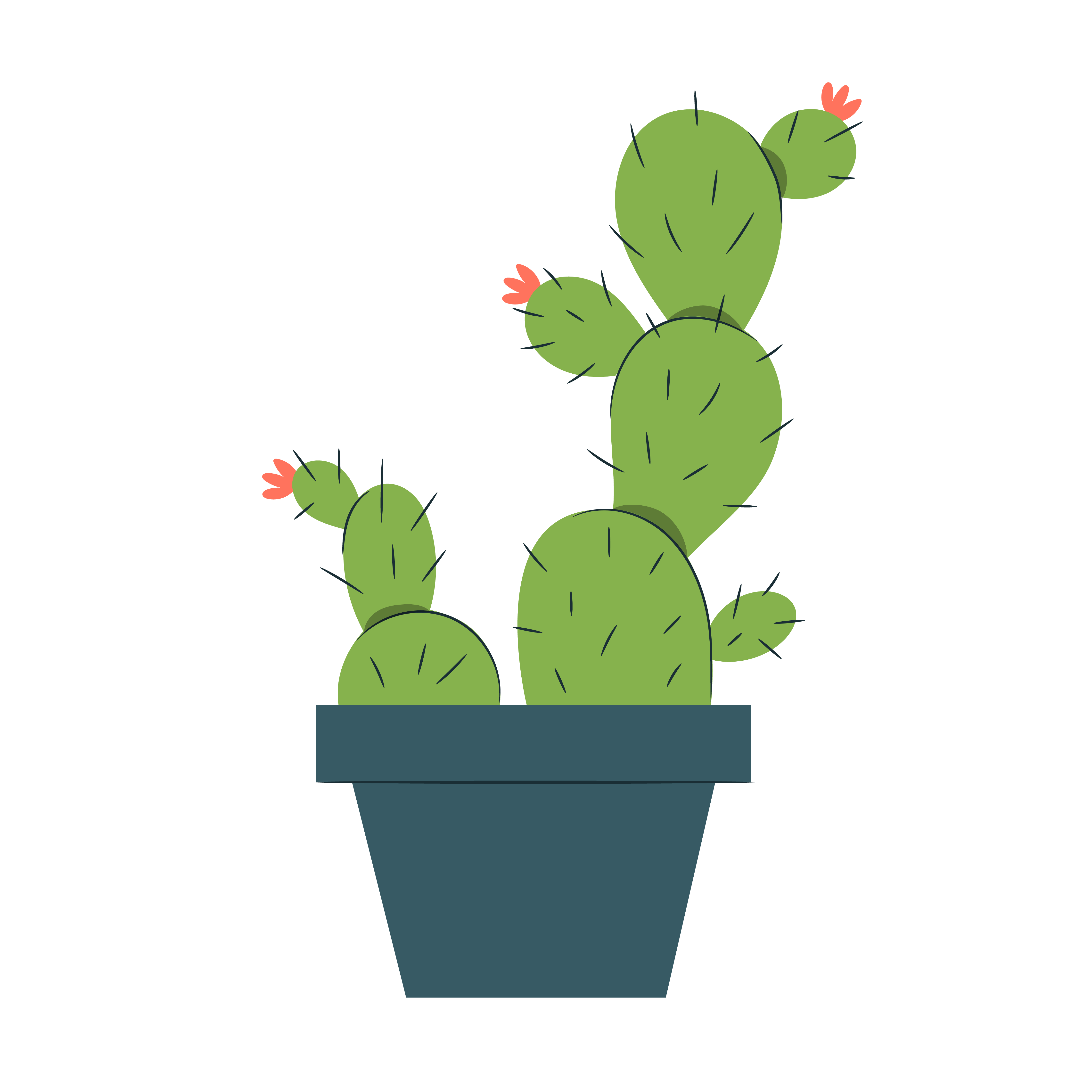 Cactus with little pink flowers